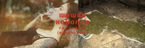 индика Кодинск