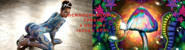 мет Коряжма